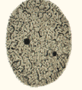 img2.png