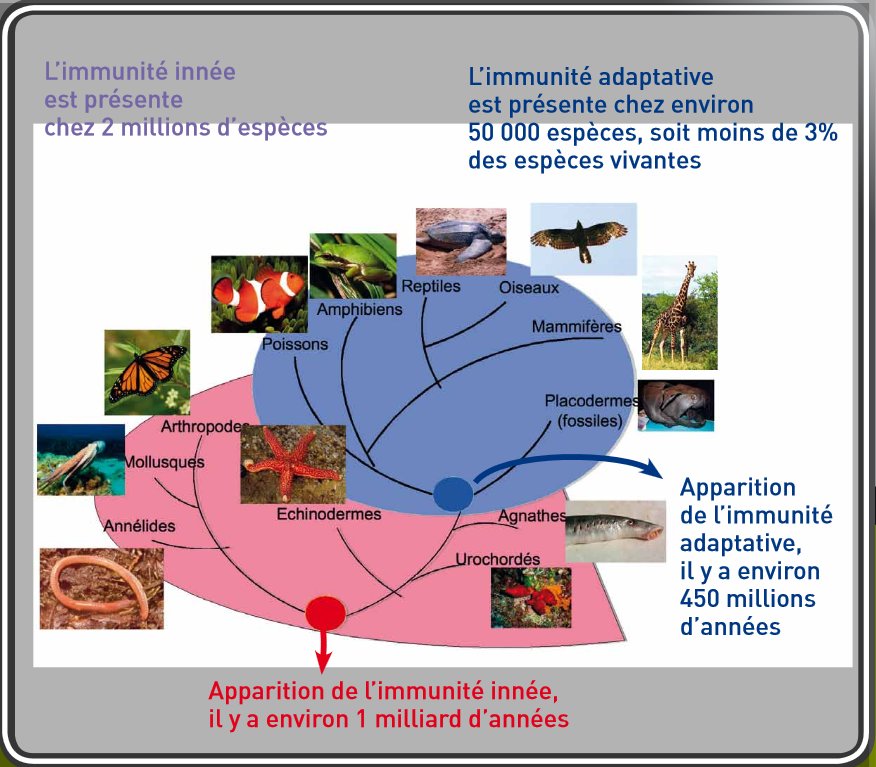 répartition espèces type d'immunité